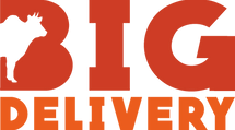Bigdelivery Logo